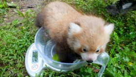 zdroj: Zoo Ústí nad Labem