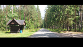 Lesy ČR opravily frekventovanou lesní cestu na hranicích s Rakouskem