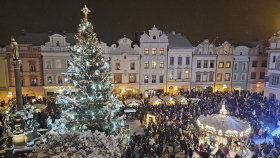 Pardubice hledají vánoční strom