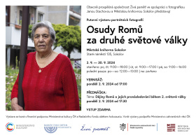 Osudy Romů za II. světové války