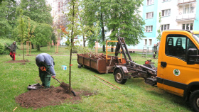 Začíná grantové řízení Nadace ČEZ Stromy pro jarní výsadbu